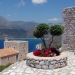 Dadar Beredar Cabang Jogja: Temukan Kelezatan di Tengah Kota