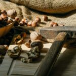 Outlet Dadar Beredar Jogja: Kelezatan yang Bisa Dinikmati Setiap Hari