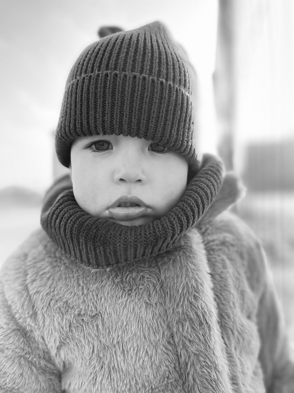 Pengalaman Kuliner di Outlet Dadar Beredar Jogja