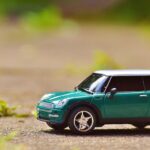 Outlet Dadar Beredar Jogja: Menyajikan Dadar dengan Sentuhan Modern